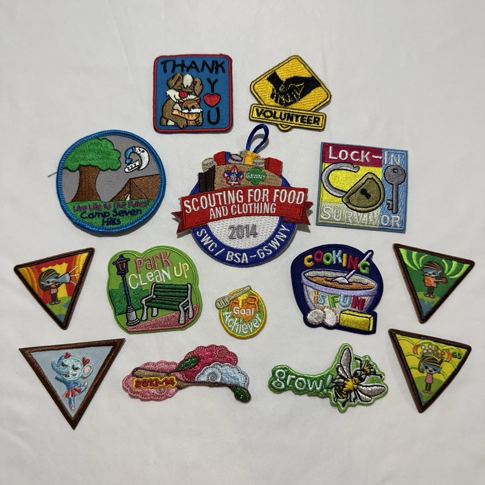 Lot of 14 Girl Scout Patches Badges 2013-2014 WNY 12 GS 2 Volunteer New Unused